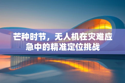 芒种时节，无人机在灾难应急中的精准定位挑战