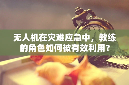无人机在灾难应急中，教练的角色如何被有效利用？