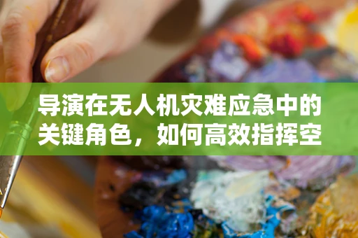 导演在无人机灾难应急中的关键角色，如何高效指挥空中救援行动？