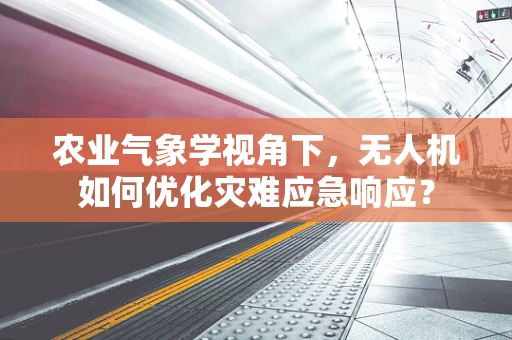 农业气象学视角下，无人机如何优化灾难应急响应？