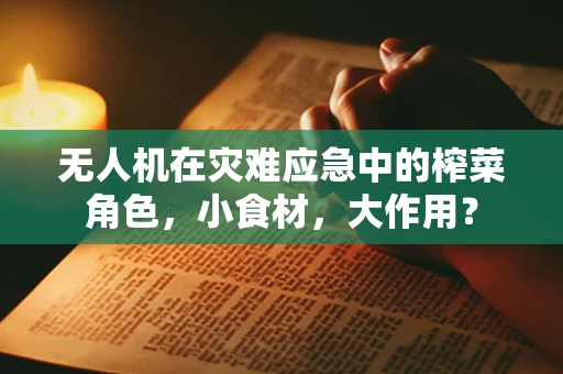无人机在灾难应急中的榨菜角色，小食材，大作用？