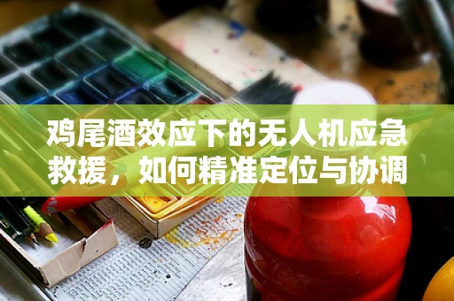 鸡尾酒效应下的无人机应急救援，如何精准定位与协调？