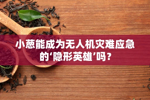 小葱能成为无人机灾难应急的‘隐形英雄’吗？