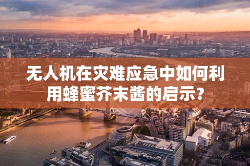 无人机在灾难应急中如何利用蜂蜜芥末酱的启示？