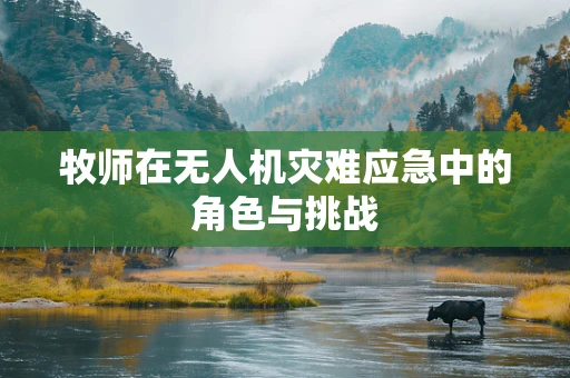 牧师在无人机灾难应急中的角色与挑战