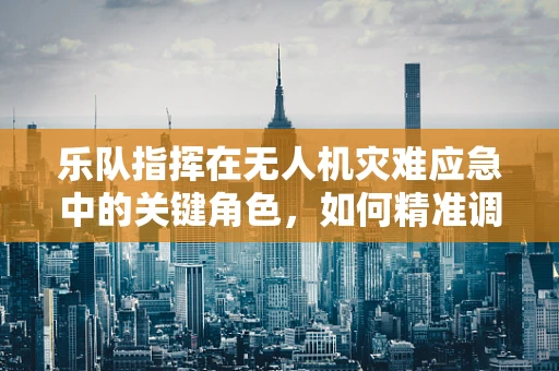 乐队指挥在无人机灾难应急中的关键角色，如何精准调度空中资源？