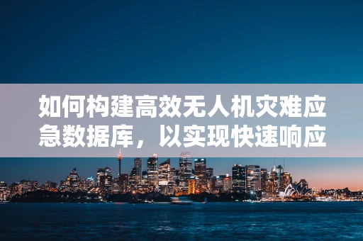 如何构建高效无人机灾难应急数据库，以实现快速响应？