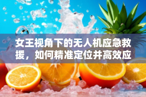 女王视角下的无人机应急救援，如何精准定位并高效应对灾难？