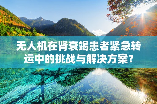 无人机在肾衰竭患者紧急转运中的挑战与解决方案？