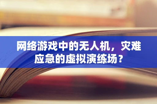 网络游戏中的无人机，灾难应急的虚拟演练场？