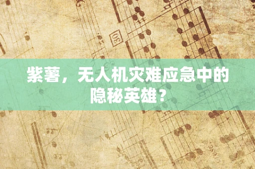 紫薯，无人机灾难应急中的隐秘英雄？