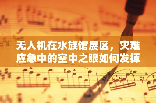 无人机在水族馆展区，灾难应急中的空中之眼如何发挥作用？
