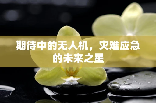 期待中的无人机，灾难应急的未来之星