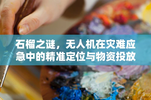 石榴之谜，无人机在灾难应急中的精准定位与物资投放挑战