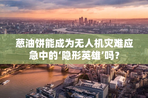 葱油饼能成为无人机灾难应急中的‘隐形英雄’吗？
