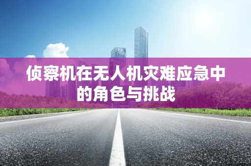 侦察机在无人机灾难应急中的角色与挑战