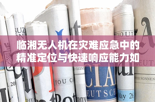 临湘无人机在灾难应急中的精准定位与快速响应能力如何？