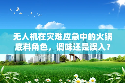 无人机在灾难应急中的火锅底料角色，调味还是误入？
