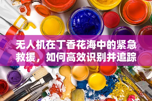 无人机在丁香花海中的紧急救援，如何高效识别并追踪迷路者？