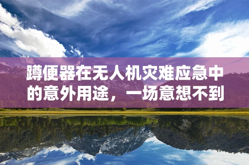 蹲便器在无人机灾难应急中的意外用途，一场意想不到的救援创新？