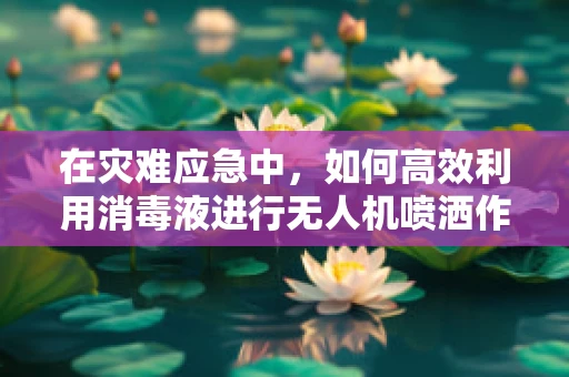 在灾难应急中，如何高效利用消毒液进行无人机喷洒作业？