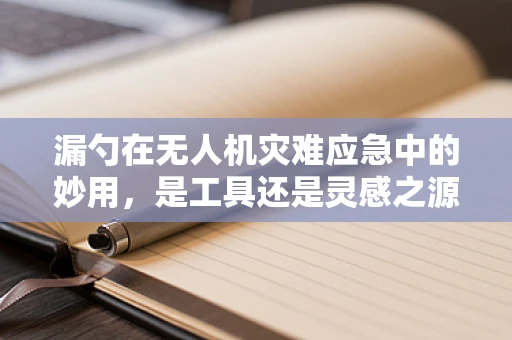 漏勺在无人机灾难应急中的妙用，是工具还是灵感之源？