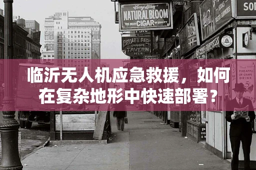 临沂无人机应急救援，如何在复杂地形中快速部署？