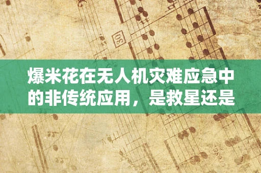 爆米花在无人机灾难应急中的非传统应用，是救星还是笑话？