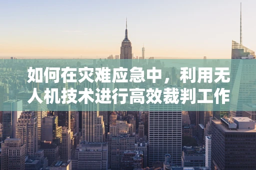 如何在灾难应急中，利用无人机技术进行高效裁判工作？