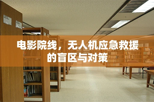 电影院线，无人机应急救援的盲区与对策