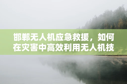 邯郸无人机应急救援，如何在灾害中高效利用无人机技术？