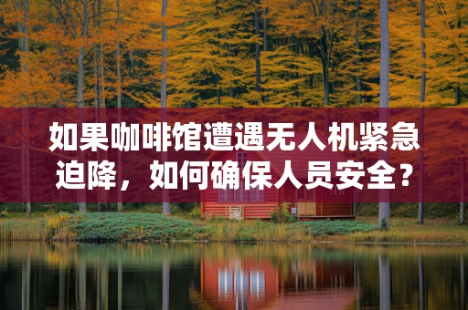 如果咖啡馆遭遇无人机紧急迫降，如何确保人员安全？