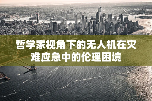 哲学家视角下的无人机在灾难应急中的伦理困境
