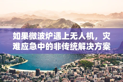 如果微波炉遇上无人机，灾难应急中的非传统解决方案？