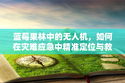 蓝莓果林中的无人机，如何在灾难应急中精准定位与救援？