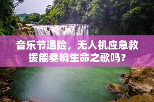 音乐节遇险，无人机应急救援能奏响生命之歌吗？