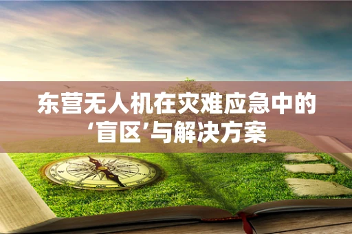 东营无人机在灾难应急中的‘盲区’与解决方案