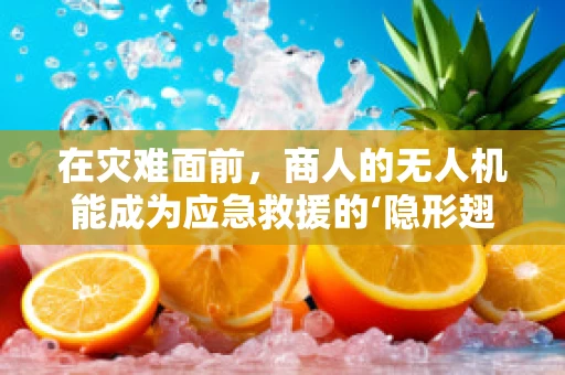 在灾难面前，商人的无人机能成为应急救援的‘隐形翅膀’吗？