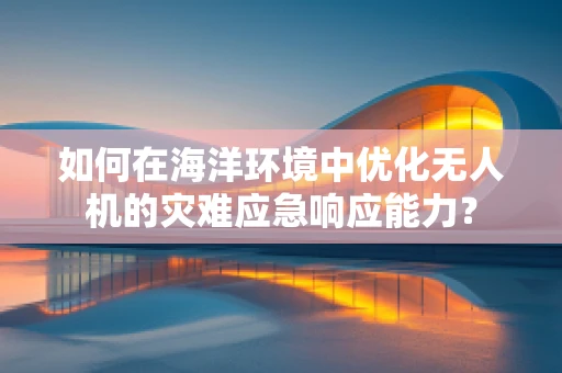 如何在海洋环境中优化无人机的灾难应急响应能力？