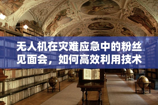 无人机在灾难应急中的粉丝见面会，如何高效利用技术进行救援？