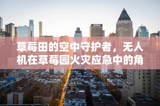 草莓田的空中守护者，无人机在草莓园火灾应急中的角色与挑战？