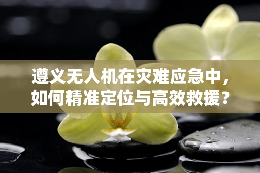 遵义无人机在灾难应急中，如何精准定位与高效救援？