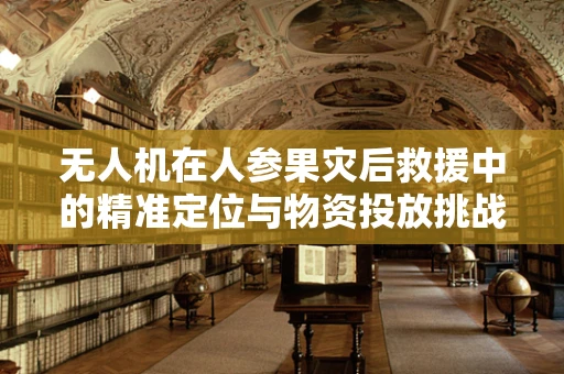 无人机在人参果灾后救援中的精准定位与物资投放挑战