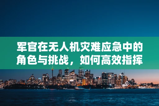 军官在无人机灾难应急中的角色与挑战，如何高效指挥？