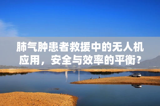 肺气肿患者救援中的无人机应用，安全与效率的平衡？