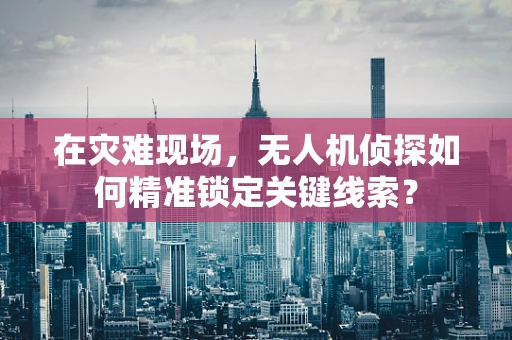 在灾难现场，无人机侦探如何精准锁定关键线索？