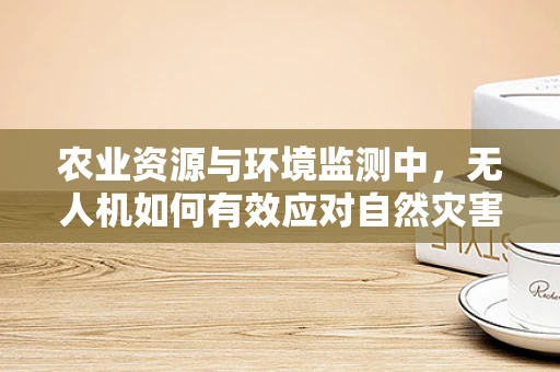 农业资源与环境监测中，无人机如何有效应对自然灾害？