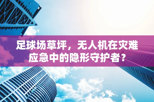 足球场草坪，无人机在灾难应急中的隐形守护者？