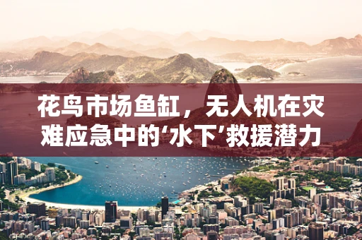 花鸟市场鱼缸，无人机在灾难应急中的‘水下’救援潜力？
