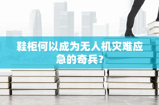 鞋柜何以成为无人机灾难应急的奇兵？